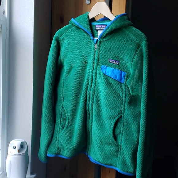 Patagonia Jackets & Blazers - EUC Patagonia Hooded Fleece Zip Up RARE